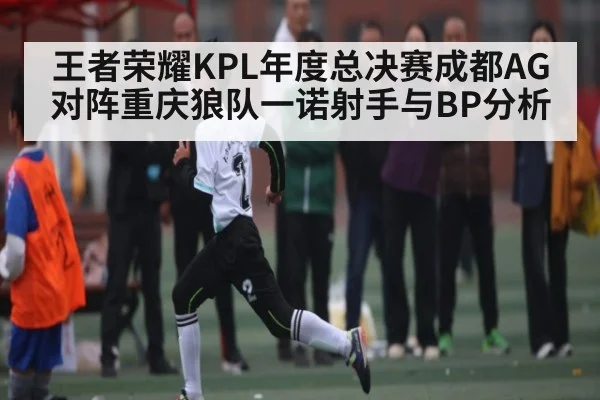 王者荣耀KPL年度总决赛成都AG对阵重庆狼队一诺射手与BP分析 - kaiyun